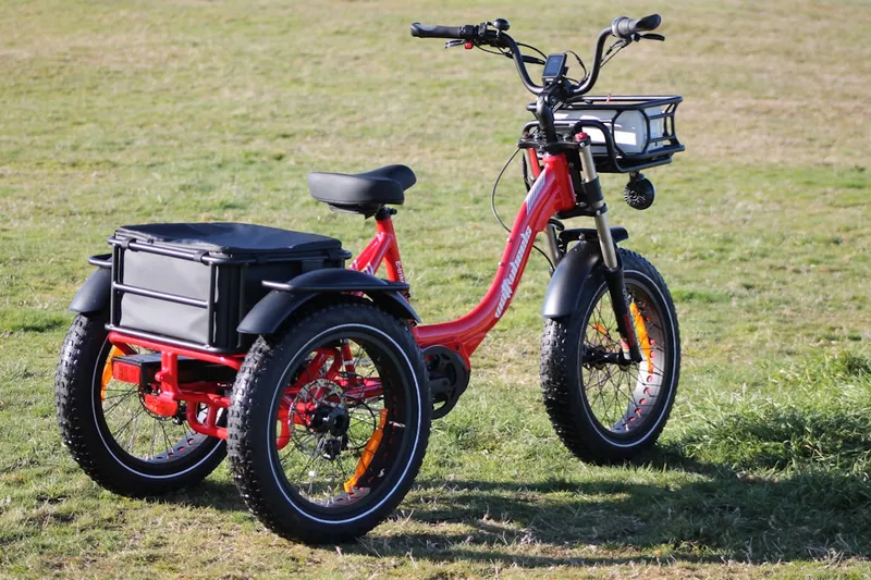 A red electric tricycle with storage baskets sits on grass.